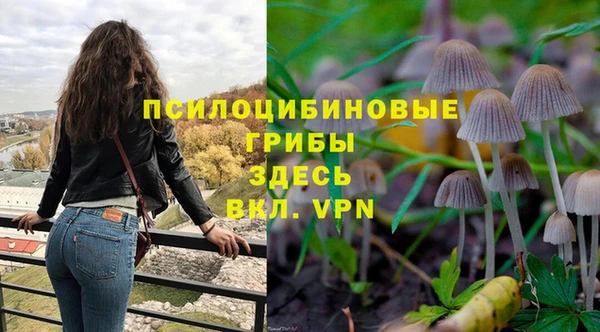 спиды Пролетарск