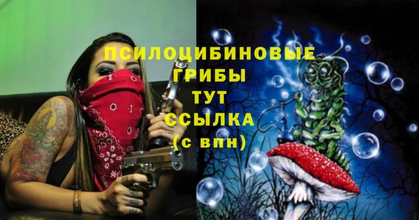 стаф Приозерск