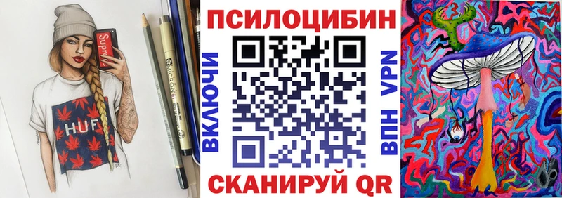 Галлюциногенные грибы Cubensis  где найти   Бородино 