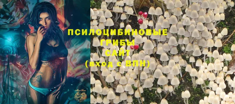 Псилоцибиновые грибы MAGIC MUSHROOMS  Бородино 